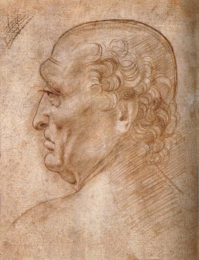 Master of the Pala Sforzesca, profile of an old man